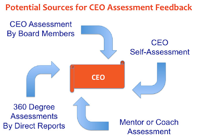 CEO Assessment Tool