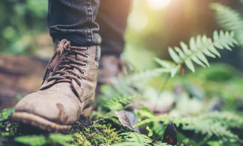 person in brown leather hiking boots walking through forest ferns