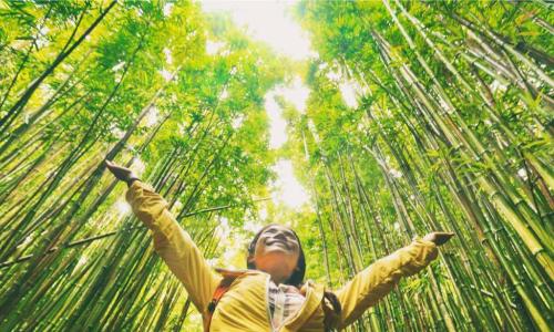 smiling woman in yellow coat holding out arms in a growing green bamboo forest