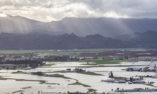 Farms flooded in British Columbia