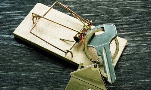 house key mousetrap