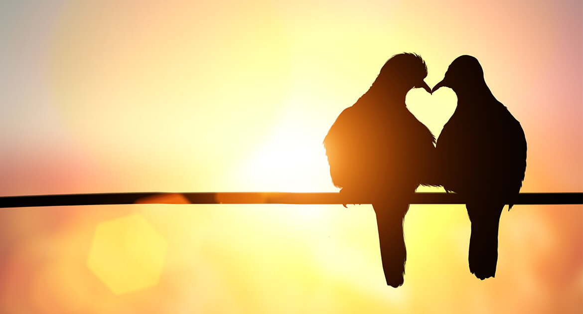 Silhouette of two birds on a wire forming a heart shape