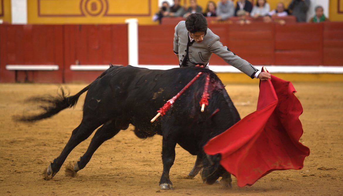 bull fighter with cape and bull