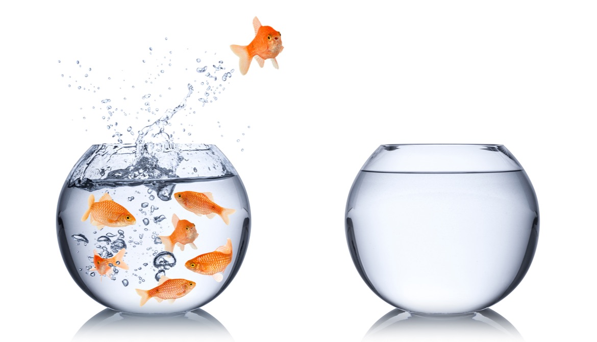 goldfish taking the opportunity to jump from a crowded fish bowl to an empty one