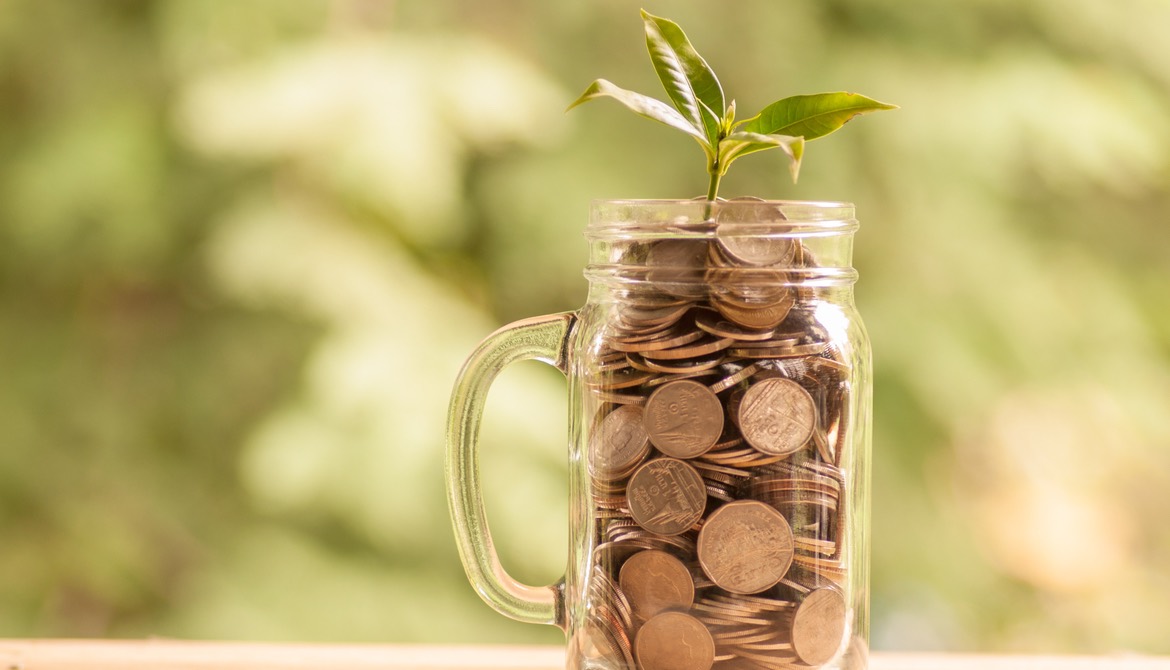 plant growing in savings coins in a jar