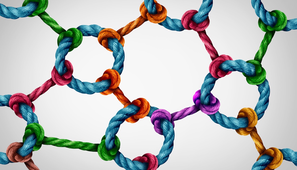 web of integrated colored ropes