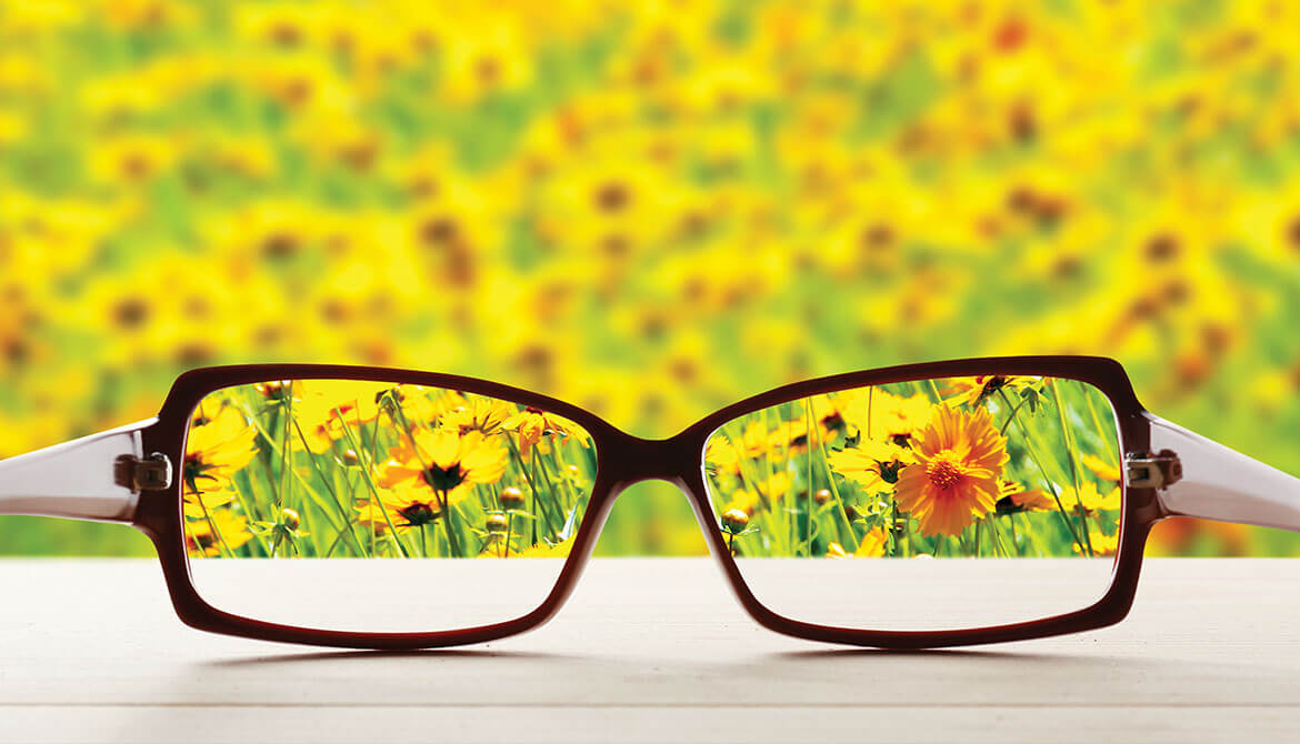 looking through prescription glasses at field of yellow flowers