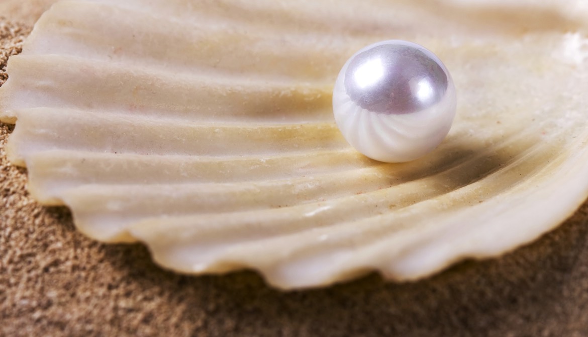 pearl on shell on beach