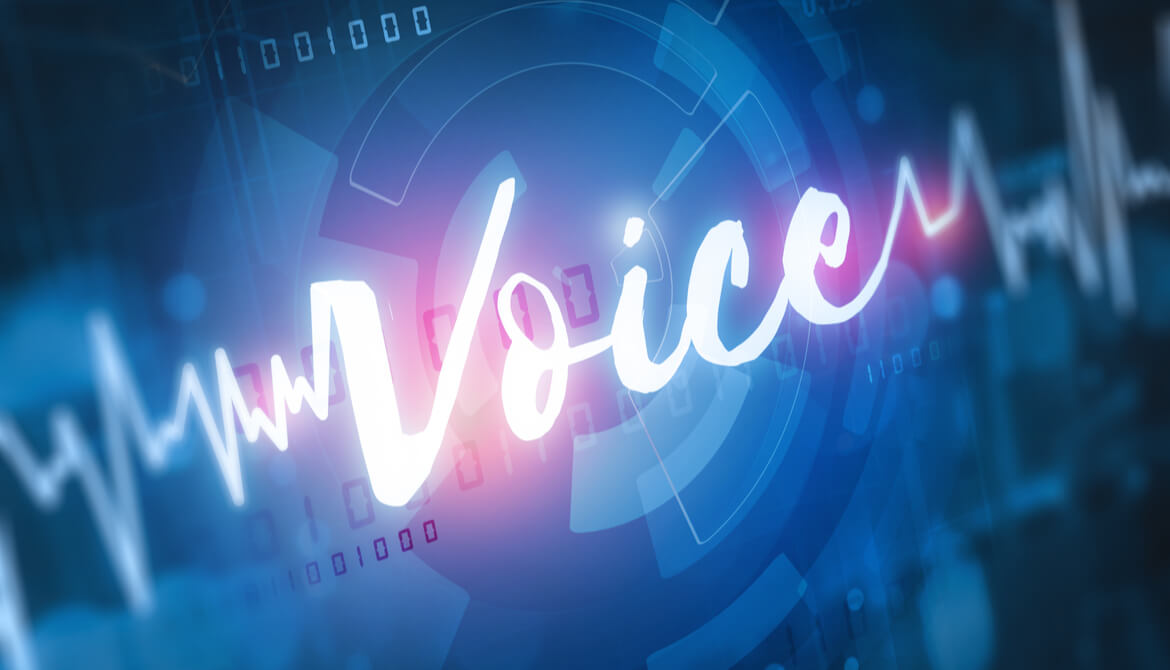 voice recognition concept