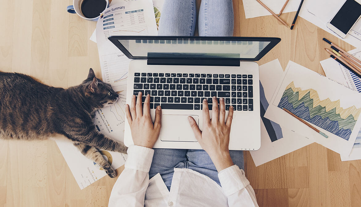 employee works on floor with laptop next to lounging cat and surrounded by papers