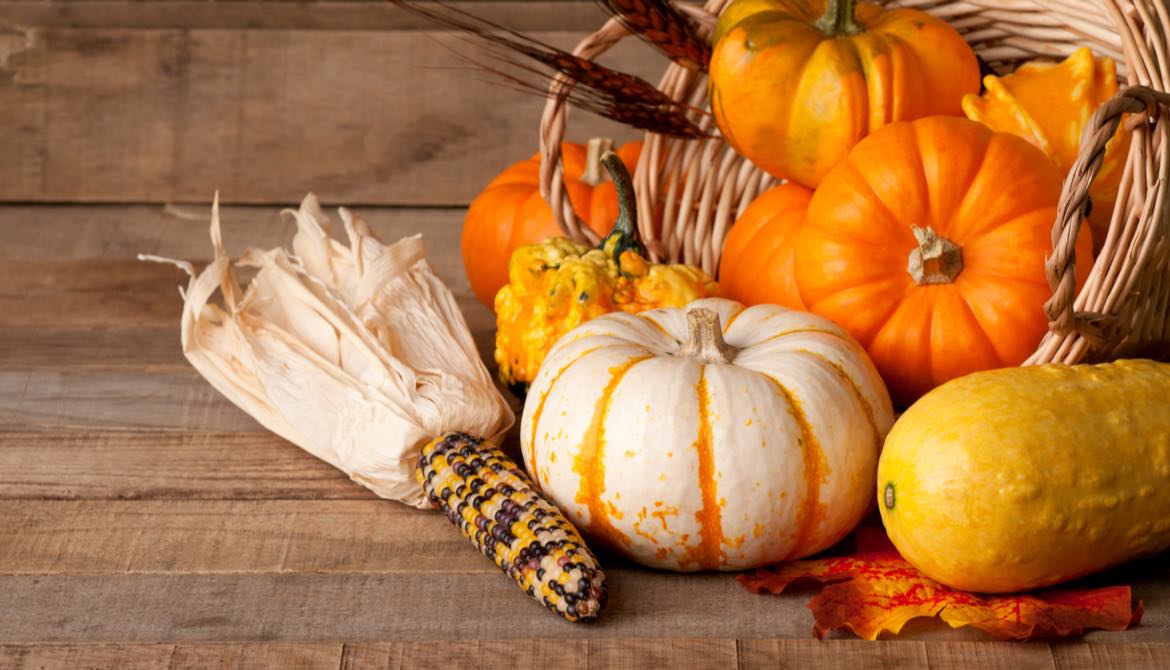 pumpkins squash corn cornucopia