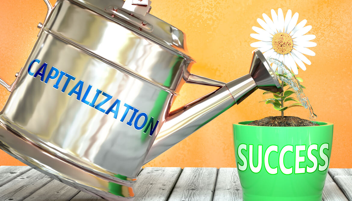 watering can labeled Capitalization pouring water onto a growing daisy in a pot labeled Success