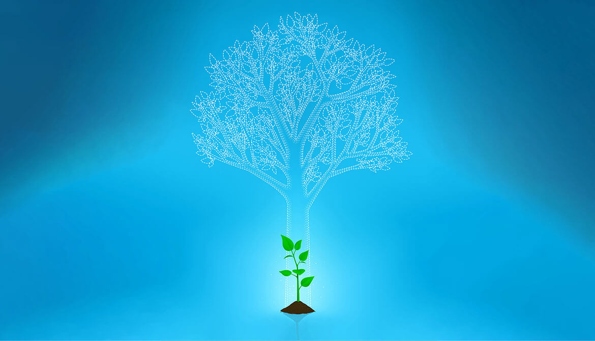 illustration of a sapling growing from a mound of dirt with a dotted outline of a future large leafy tree towering behind it