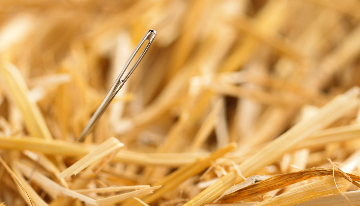needle in a haystack