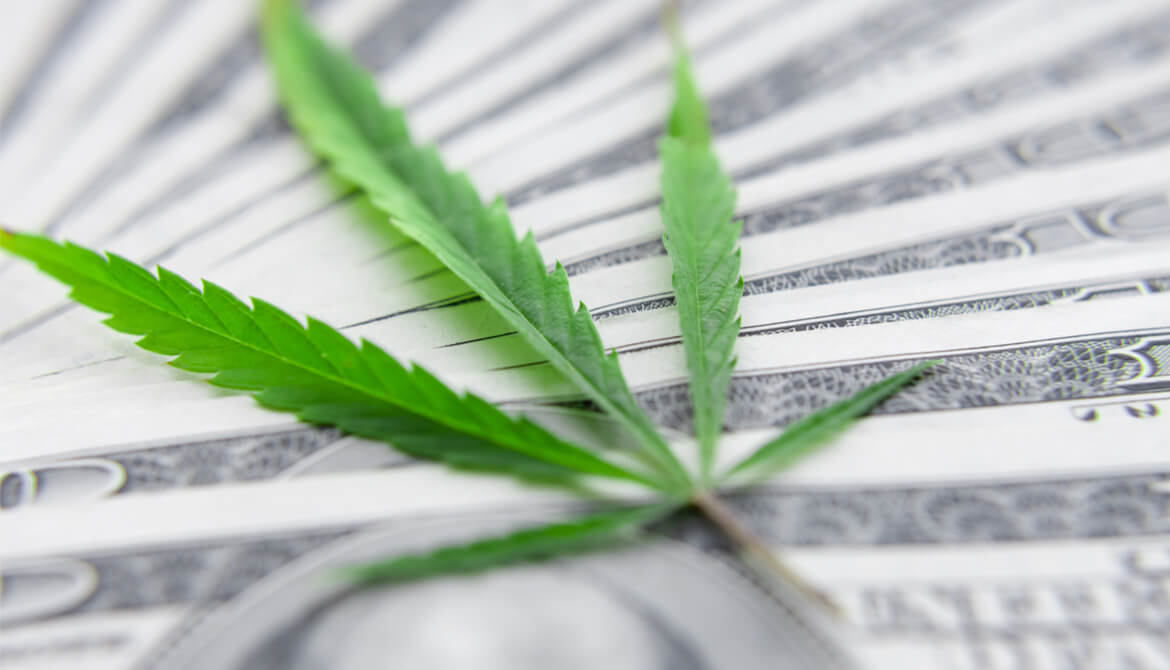 marijuana leaf on fanned-out 100 dollar bills