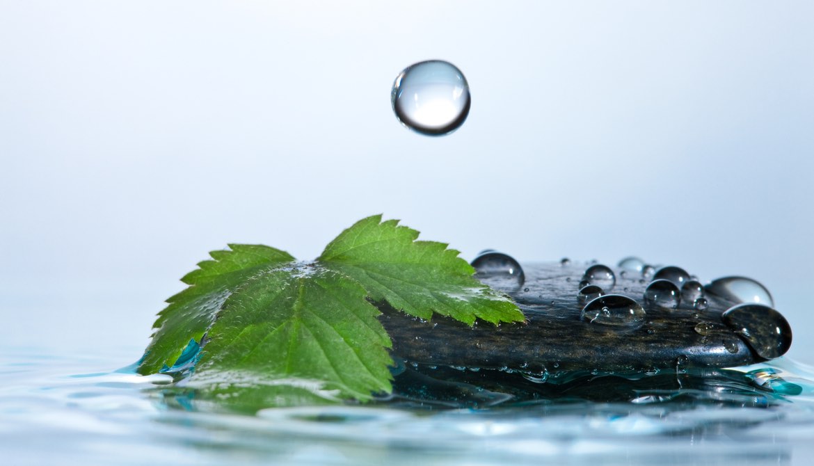 water drops with leaf and rock