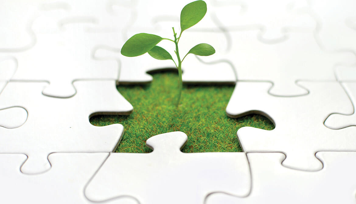 seedling plant grows up through space left by missing puzzle piece surrounded by a white puzzle