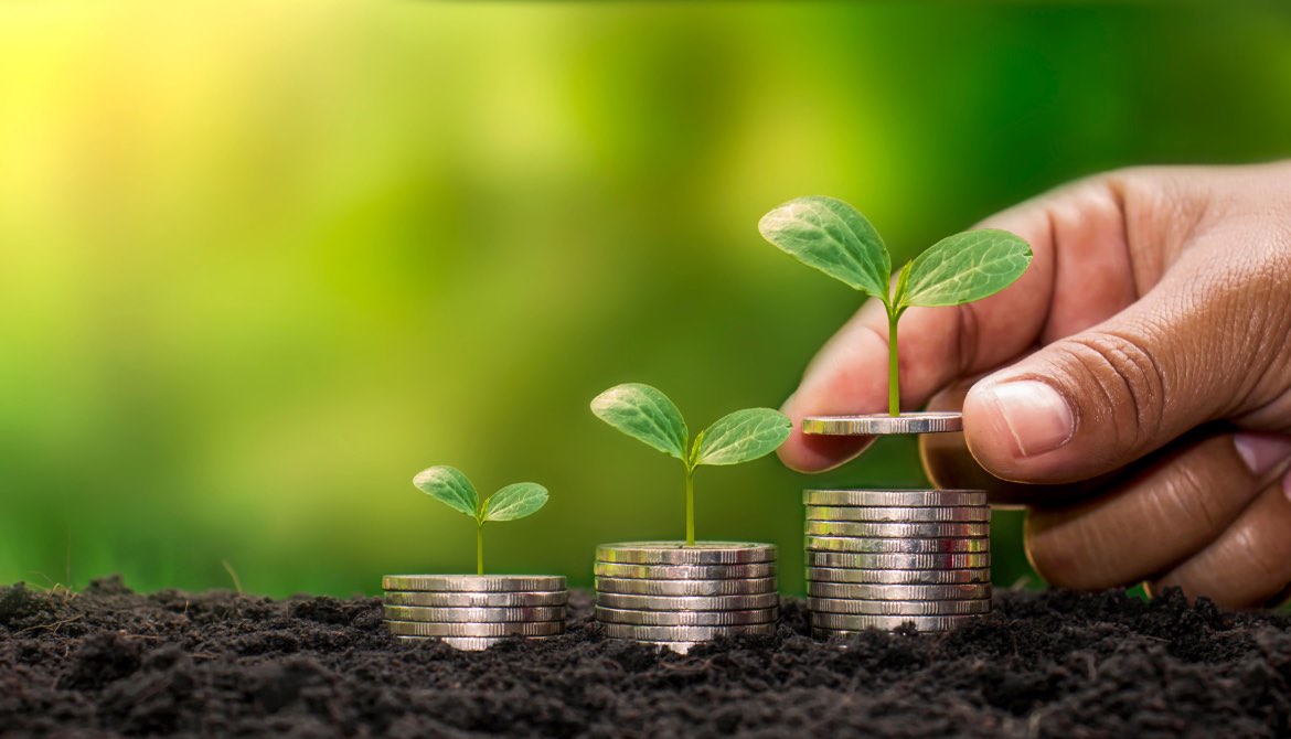 coin stacks plants hand