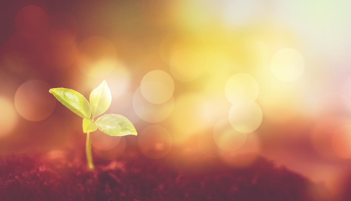 green shoot mottled light background