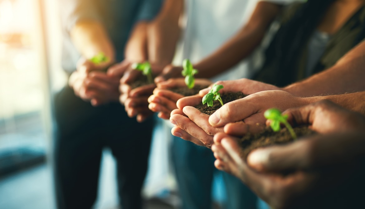 diverse team members holding seedlings in their cupped hands