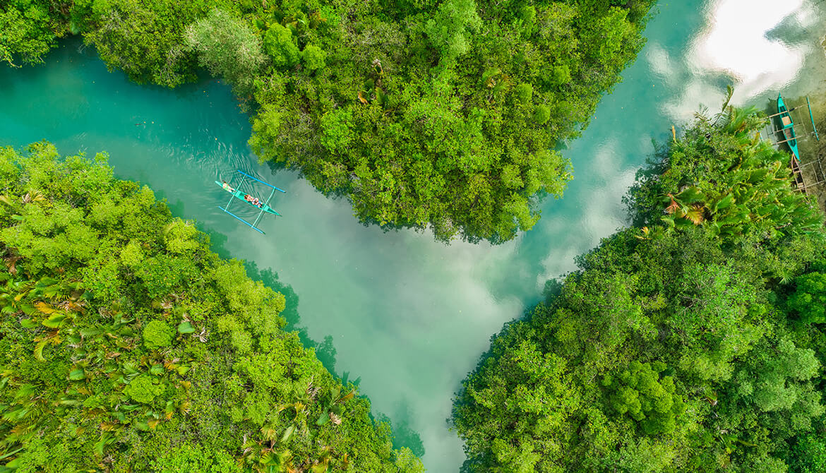 aerial view of canoers on a stream through a forest