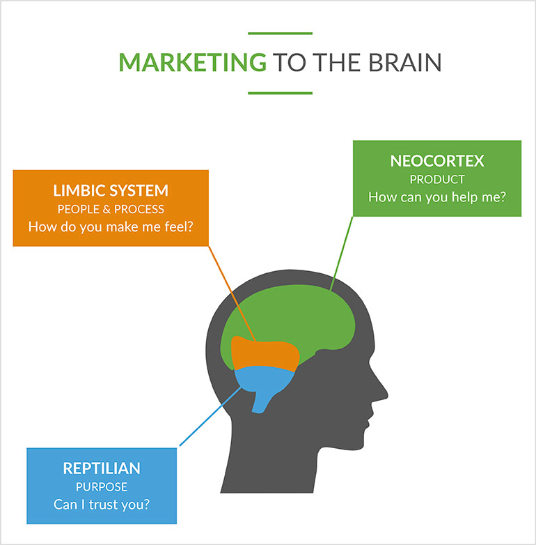 marketing to the brain