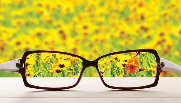 looking through prescription glasses at field of yellow flowers