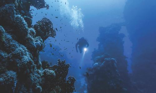 Deep sea diver shining a light at coral formations