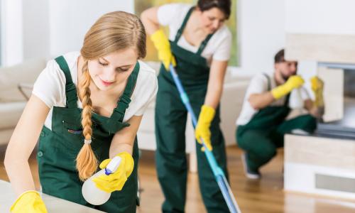 professional cleaners work on an apartment