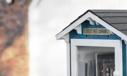 little free library