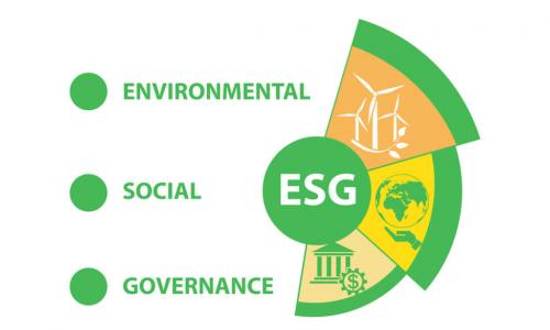 pie chart with words environmental social governance