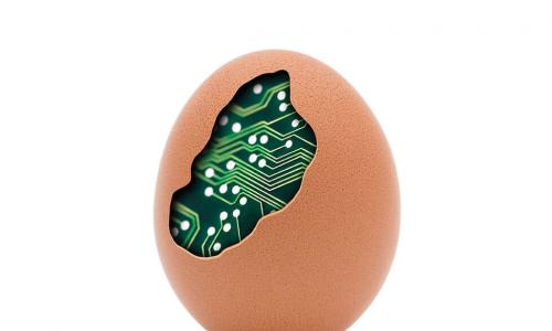 brown egg with cracked shell revealing green circuitry inside