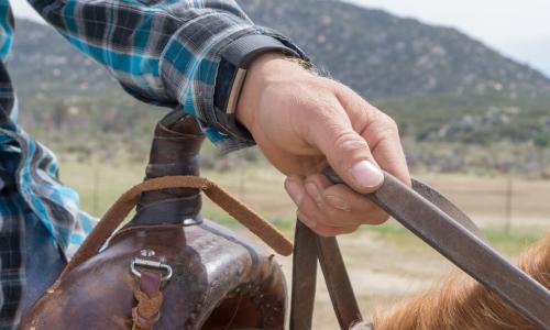 person in a saddle holding reins to a horse