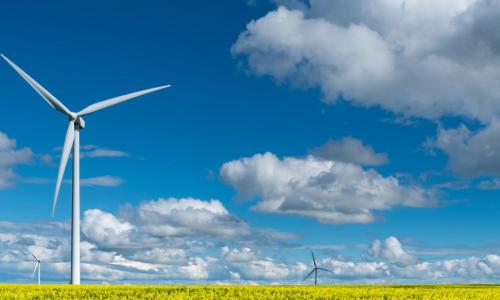 Windmills in field of yellow flowers under blue sky and fluffy clouds