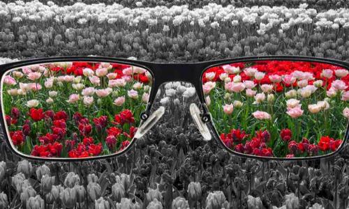 glasses colorize black and white roses