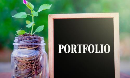 chalkboard with the word portfolio next to growing plant