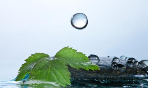 water drops with leaf and rock