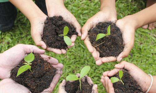 group of people in a circle each holding out their cupped hands holding soil and a plant sprout