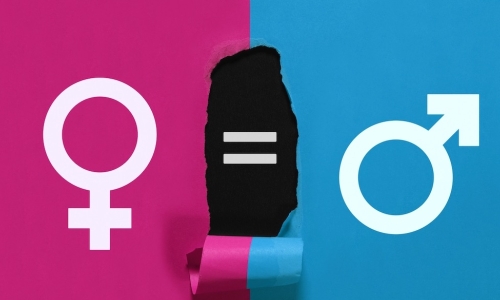 gender symbols on pink and blue backgrounds with the middle area peeled away to reveal an equal sign