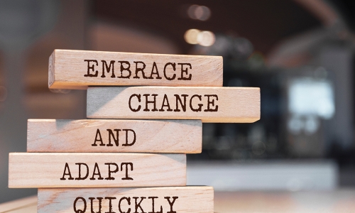 building blocks with the words embrace, change, and adapt quickly on them