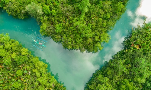 aerial view of canoers on a stream through a forest